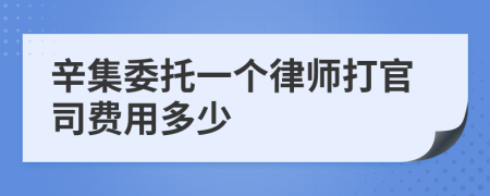 辛集委托一个律师打官司费用多少