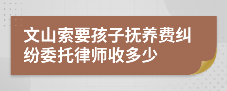 文山索要孩子抚养费纠纷委托律师收多少