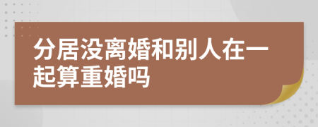 分居没离婚和别人在一起算重婚吗