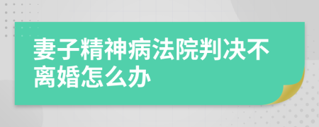 妻子精神病法院判决不离婚怎么办