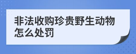 非法收购珍贵野生动物怎么处罚