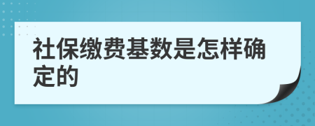 社保缴费基数是怎样确定的