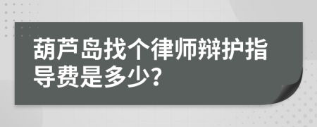 葫芦岛找个律师辩护指导费是多少？