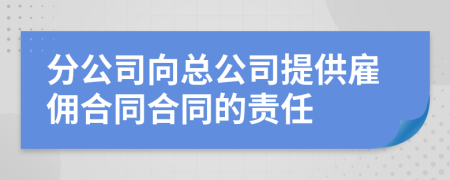 分公司向总公司提供雇佣合同合同的责任