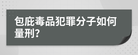 包庇毒品犯罪分子如何量刑？