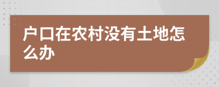 户口在农村没有土地怎么办