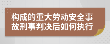 构成的重大劳动安全事故刑事判决后如何执行