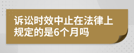 诉讼时效中止在法律上规定的是6个月吗