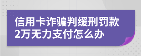 信用卡诈骗判缓刑罚款2万无力支付怎么办