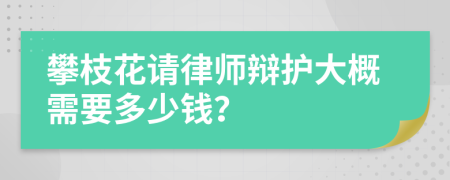 攀枝花请律师辩护大概需要多少钱？