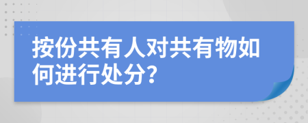 按份共有人对共有物如何进行处分？