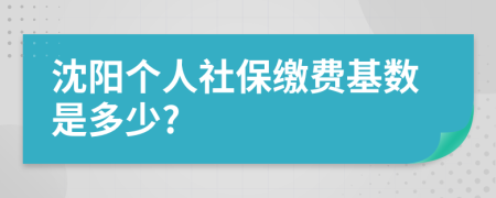 沈阳个人社保缴费基数是多少?