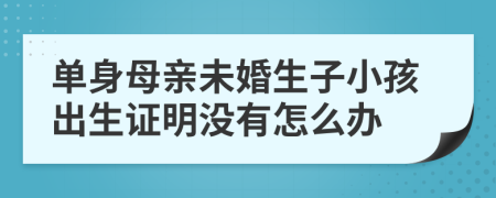 单身母亲未婚生子小孩出生证明没有怎么办