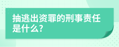 抽逃出资罪的刑事责任是什么?