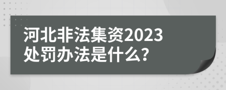 河北非法集资2023处罚办法是什么？