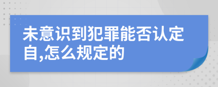 未意识到犯罪能否认定自,怎么规定的