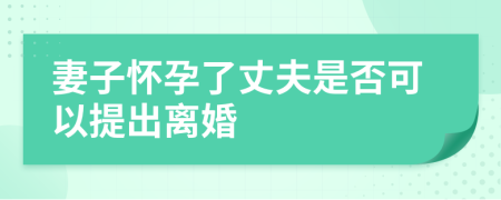 妻子怀孕了丈夫是否可以提出离婚    