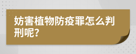 妨害植物防疫罪怎么判刑呢？