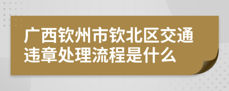 广西钦州市钦北区交通违章处理流程是什么