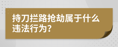 持刀拦路抢劫属于什么违法行为？