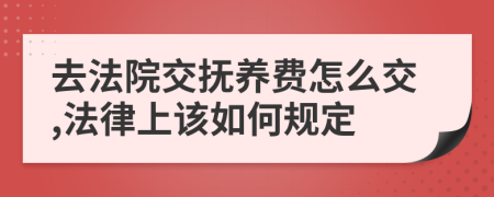 去法院交抚养费怎么交,法律上该如何规定