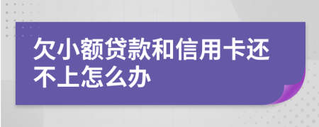 欠小额贷款和信用卡还不上怎么办