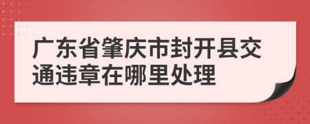 广东省肇庆市封开县交通违章在哪里处理