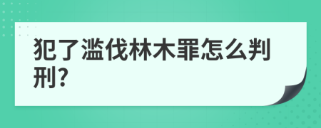 犯了滥伐林木罪怎么判刑?