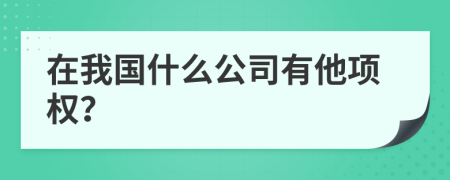 在我国什么公司有他项权？