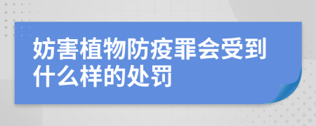 妨害植物防疫罪会受到什么样的处罚