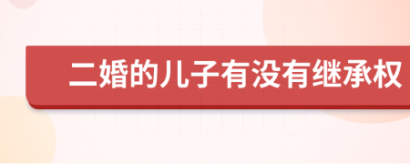 二婚的儿子有没有继承权
