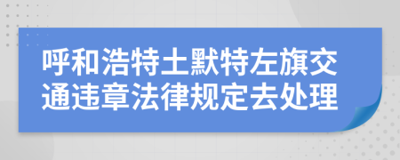 呼和浩特土默特左旗交通违章法律规定去处理