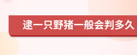 逮一只野猪一般会判多久