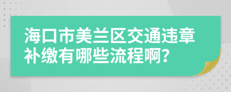 海口市美兰区交通违章补缴有哪些流程啊？