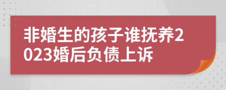 非婚生的孩子谁抚养2023婚后负债上诉