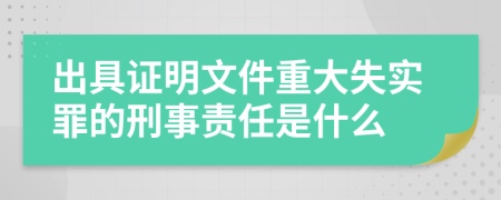 出具证明文件重大失实罪的刑事责任是什么