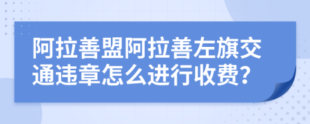 阿拉善盟阿拉善左旗交通违章怎么进行收费？