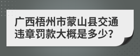 广西梧州市蒙山县交通违章罚款大概是多少？