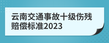 云南交通事故十级伤残赔偿标准2023