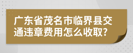 广东省茂名市临界县交通违章费用怎么收取?
