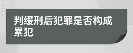 判缓刑后犯罪是否构成累犯