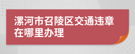 漯河市召陵区交通违章在哪里办理