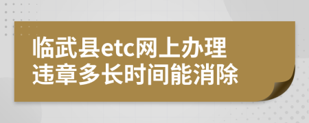 临武县etc网上办理违章多长时间能消除