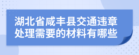 湖北省咸丰县交通违章处理需要的材料有哪些