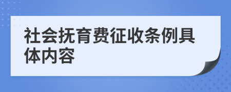 社会抚育费征收条例具体内容