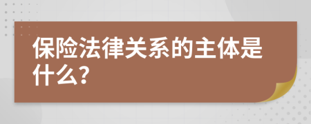 保险法律关系的主体是什么？