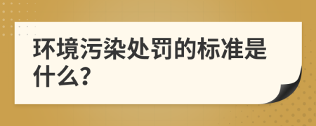 环境污染处罚的标准是什么？