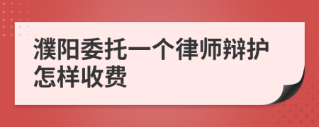 濮阳委托一个律师辩护怎样收费