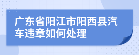 广东省阳江市阳西县汽车违章如何处理