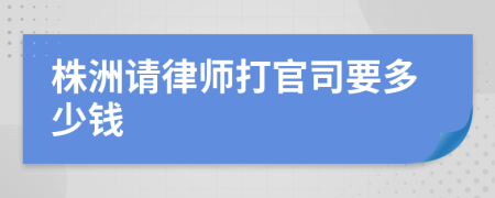 株洲请律师打官司要多少钱